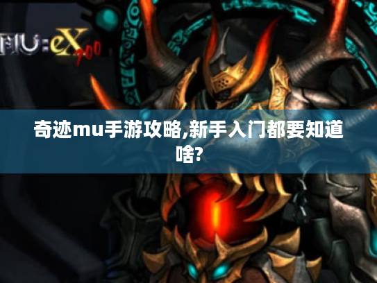 奇迹mu手游攻略,新手入门都要知道啥?