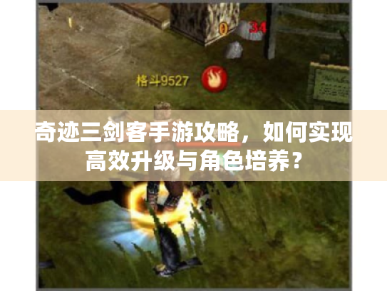 奇迹三剑客手游攻略，如何实现高效升级与角色培养？