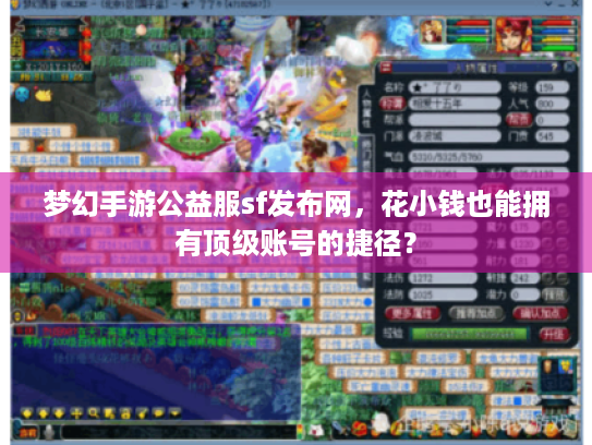梦幻手游公益服sf发布网,花小钱也能拥有顶级账号的捷径? 梦幻手游公益服sf发布网,花小钱也能拥有顶级账号的捷径?