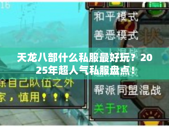 天龙八部什么私服最好玩?2025年超人气私服盘点! 天龙八部什么私服最好玩?2025年超人气私服盘点!