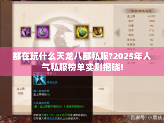 都在玩什么天龙八部私服?2025年人气私服榜单实测揭晓!
