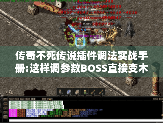 传奇不死传说插件调法实战手册:这样调参数BOSS直接变木桩 传奇不死传说插件调法实战手册:这样调参数BOSS直接变木桩