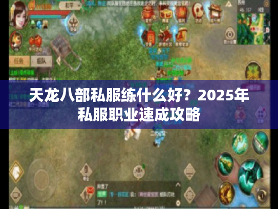 天龙八部私服练什么好？2025年私服职业速成攻略