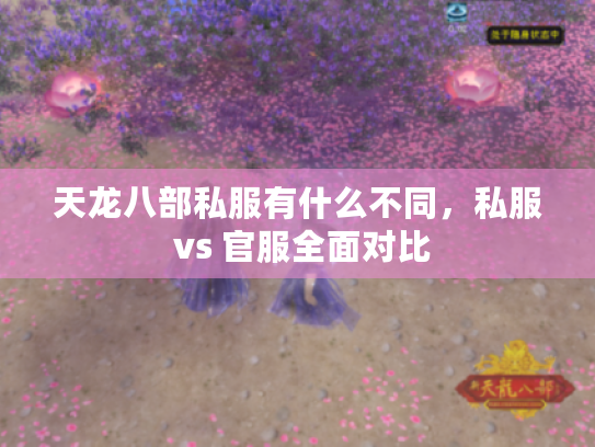 天龙八部私服有什么不同，私服 vs 官服全面对比