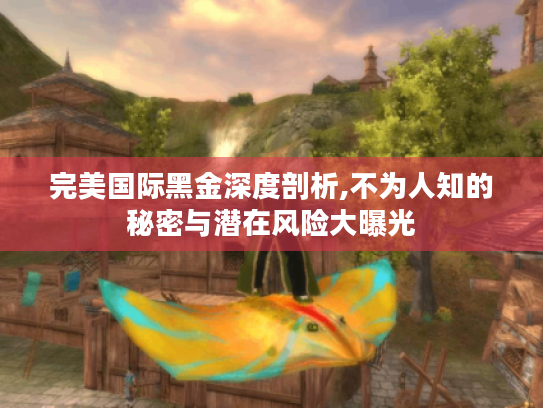 完美国际黑金深度剖析,不为人知的秘密与潜在风险大曝光 完美国际黑金深度剖析,不为人知的秘密与潜在风险大曝光