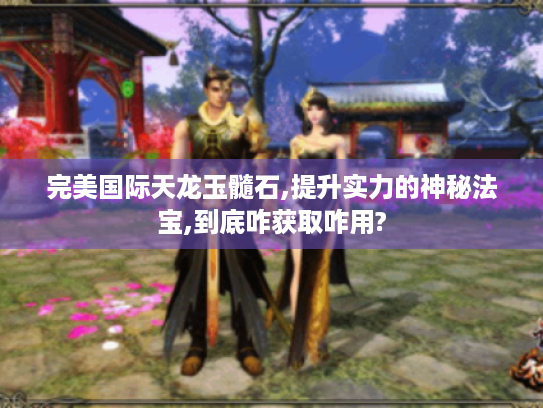 完美国际天龙玉髓石,提升实力的神秘法宝,到底咋获取咋用? 完美国际天龙玉髓石,提升实力的神秘法宝,到底咋获取咋用?