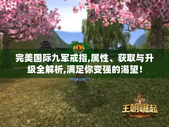完美国际九军戒指,属性、获取与升级全解析,满足你变强的渴望! 完美国际九军戒指,属性、获取与升级全解析,满足你变强的渴望!