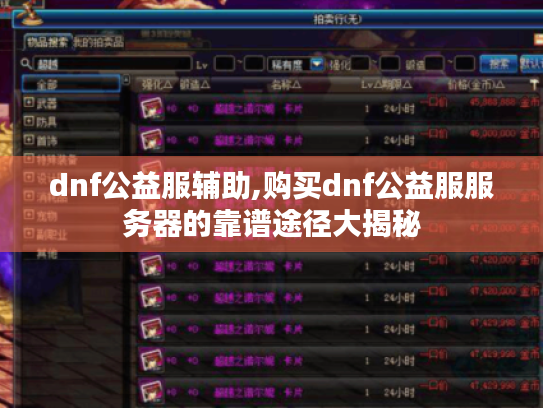 dnf公益服辅助,购买dnf公益服服务器的靠谱途径大揭秘 dnf公益服辅助,购买dnf公益服服务器的靠谱途径大揭秘