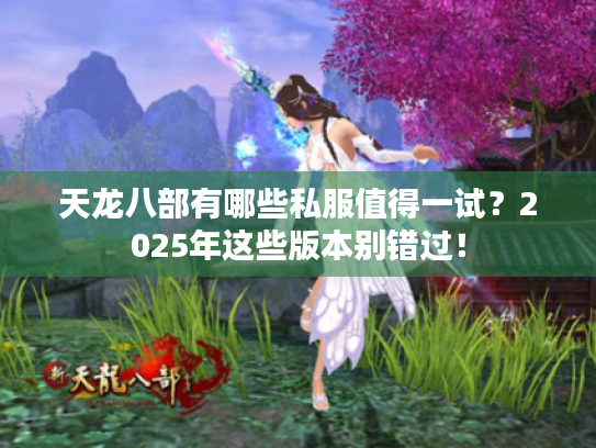 天龙八部有哪些私服值得一试？2025年这些版本别错过！