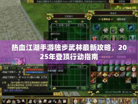 热血江湖手游独步武林最新攻略,2025年登顶行动指南 热血江湖手游独步武林最新攻略,2025年登顶行动指南