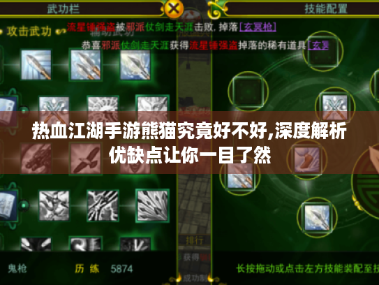 热血江湖手游熊猫究竟好不好,深度解析优缺点让你一目了然