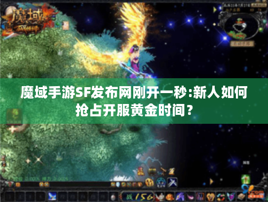 魔域手游SF发布网刚开一秒:新人如何抢占开服黄金时间？