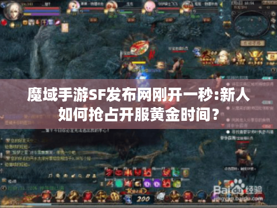 魔域手游SF发布网刚开一秒:新人如何抢占开服黄金时间？