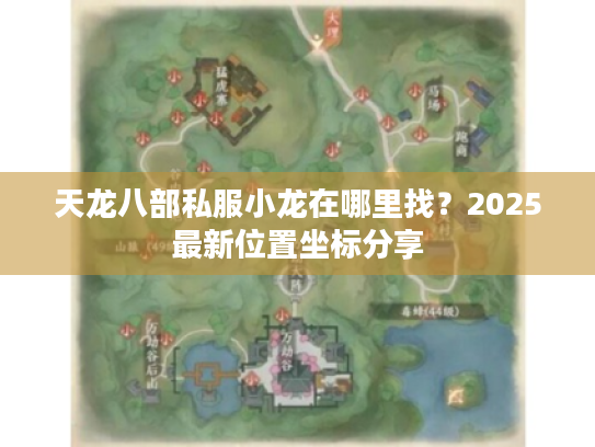 天龙八部私服小龙在哪里找?2025最新位置坐标分享 天龙八部私服小龙在哪里找?2025最新位置坐标分享