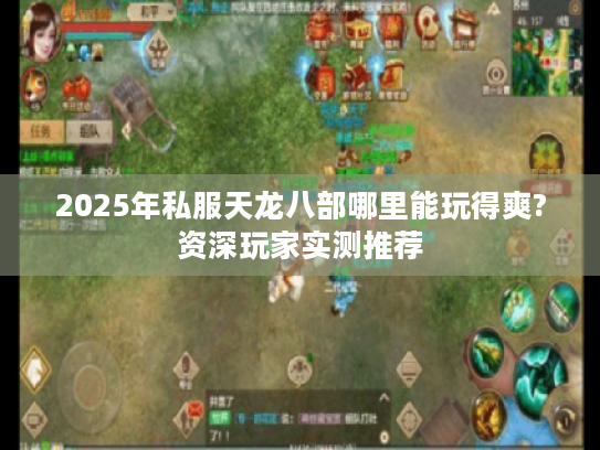 2025年私服天龙八部哪里能玩得爽?资深玩家实测推荐 2025年私服天龙八部哪里能玩得爽?资深玩家实测推荐
