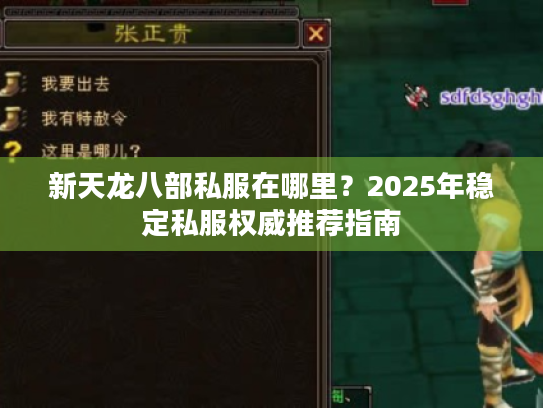 新天龙八部私服在哪里?2025年稳定私服权威推荐指南 新天龙八部私服在哪里?2025年稳定私服权威推荐指南