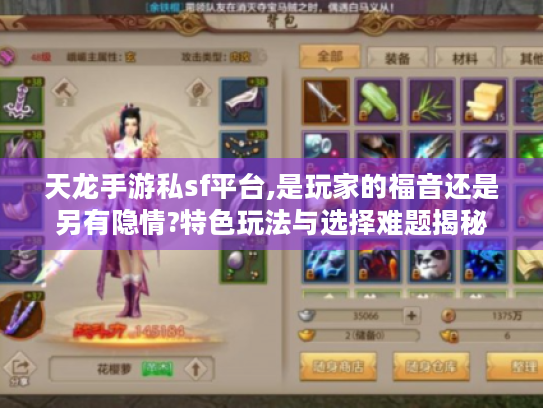 天龙手游私sf平台,是玩家的福音还是另有隐情?特色玩法与选择难题揭秘 天龙手游私sf平台,是玩家的福音还是另有隐情?特色玩法与选择难题揭秘