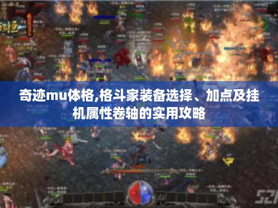 奇迹mu体格,格斗家装备选择、加点及挂机属性卷轴的实用攻略 奇迹mu体格,格斗家装备选择、加点及挂机属性卷轴的实用攻略