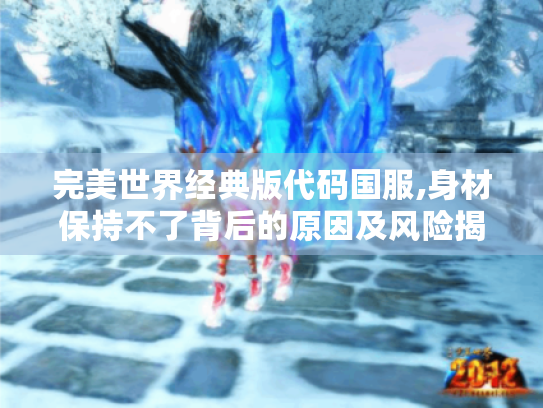 完美世界经典版代码国服,身材保持不了背后的原因及风险揭秘
