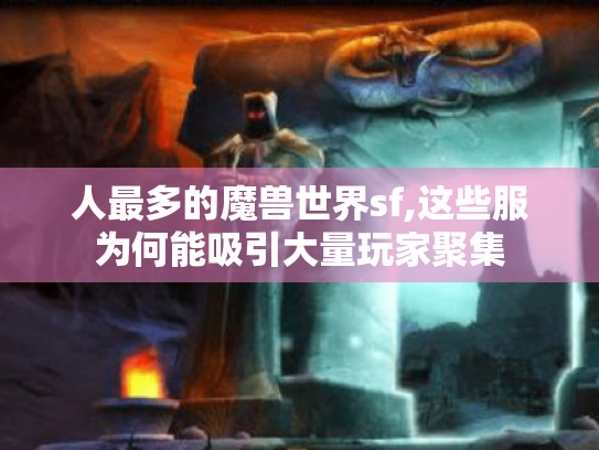 人最多的魔兽世界sf,这些服为何能吸引大量玩家聚集