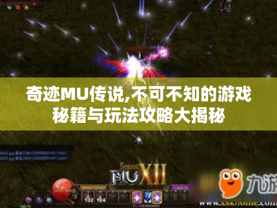 奇迹MU传说,不可不知的游戏秘籍与玩法攻略大揭秘 奇迹MU传说,不可不知的游戏秘籍与玩法攻略大揭秘