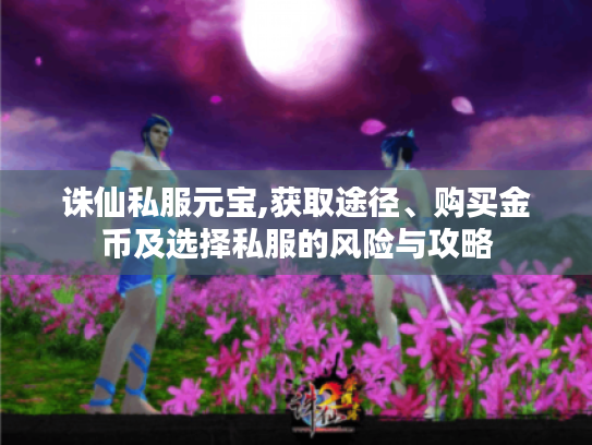 诛仙私服元宝,获取途径、购买金币及选择私服的风险与攻略 诛仙私服元宝,获取途径、购买金币及选择私服的风险与攻略