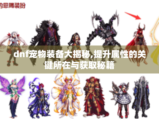dnf宠物装备大揭秘,提升属性的关键所在与获取秘籍 dnf宠物装备大揭秘,提升属性的关键所在与获取秘籍