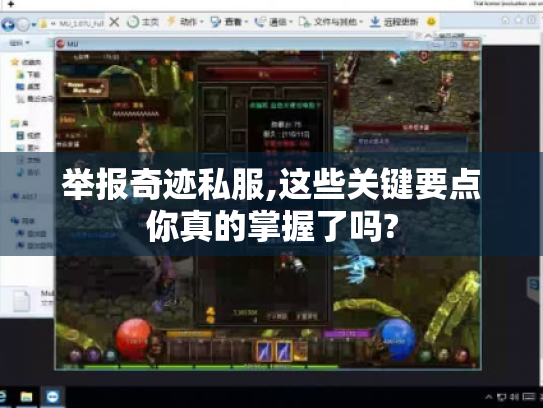 举报奇迹私服,这些关键要点你真的掌握了吗? 举报奇迹私服,这些关键要点你真的掌握了吗?