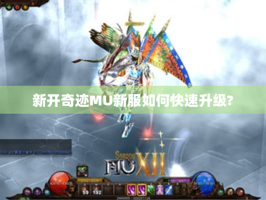 新开奇迹MU新服如何快速升级? 新开奇迹MU新服如何快速升级?