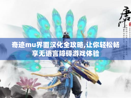 奇迹mu界面汉化全攻略,让你轻松畅享无语言障碍游戏体验 奇迹mu界面汉化全攻略,让你轻松畅享无语言障碍游戏体验