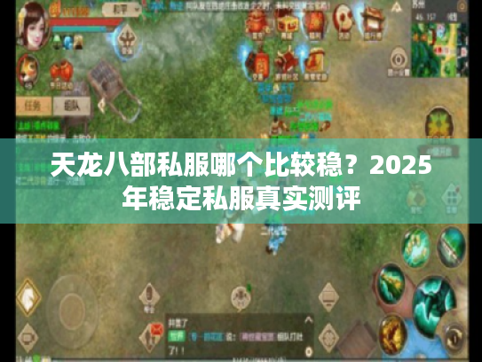 天龙八部私服哪个比较稳?2025年稳定私服真实测评 天龙八部私服哪个比较稳?2025年稳定私服真实测评