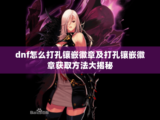 dnf怎么打孔镶嵌徽章及打孔镶嵌徽章获取方法大揭秘