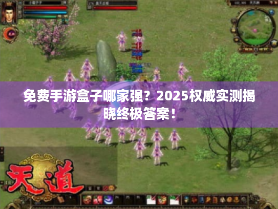 免费手游盒子哪家强?2025权威实测揭晓终极答案! 免费手游盒子哪家强?2025权威实测揭晓终极答案!