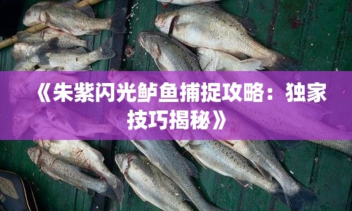 《朱紫闪光鲈鱼捕捉攻略:独家技巧揭秘》 《朱紫闪光鲈鱼捕捉攻略:独家技巧揭秘》