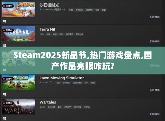 Steam2025新品节,热门游戏盘点,国产作品亮眼咋玩? Steam2025新品节,热门游戏盘点,国产作品亮眼咋玩?