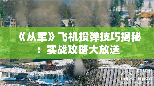 《从军》飞机投弹技巧揭秘:实战攻略大放送 《从军》飞机投弹技巧揭秘:实战攻略大放送