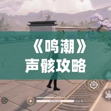 《鸣潮》声骸攻略:数据坞快速升级技巧揭秘 《鸣潮》声骸攻略:数据坞快速升级技巧揭秘