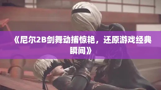 《尼尔2B剑舞动捕惊艳,还原游戏经典瞬间》 《尼尔2B剑舞动捕惊艳,还原游戏经典瞬间》