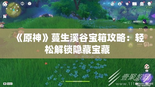 《原神》蔓生溪谷宝箱攻略：轻松解锁隐藏宝藏