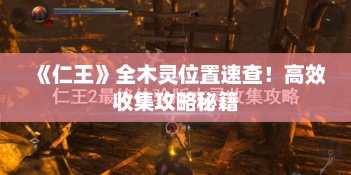 《仁王》全木灵位置速查！高效收集攻略秘籍