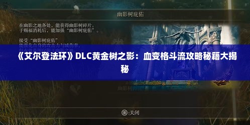 《艾尔登法环》DLC黄金树之影：血变格斗流攻略秘籍大揭秘