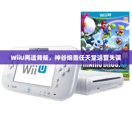 WiiU再遭背叛,神谷炮轰任天堂运营失误 WiiU再遭背叛,神谷炮轰任天堂运营失误