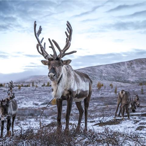 《恶魔之魂重制版》神秘隐藏门解锁，超酷套装等你拿！