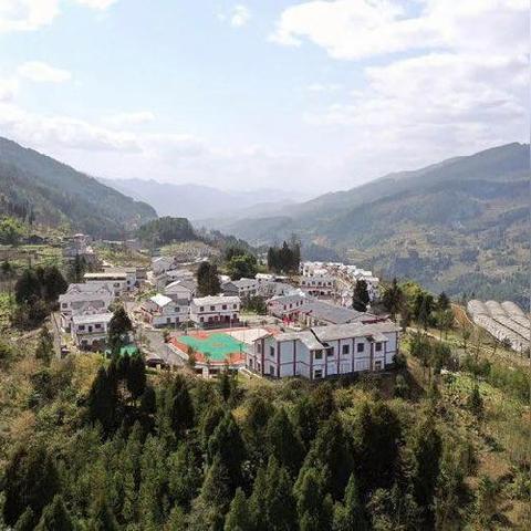 《绝区零》头号粉丝攻略揭秘:轻松通关头号粉丝委托 《绝区零》头号粉丝攻略揭秘:轻松通关头号粉丝委托