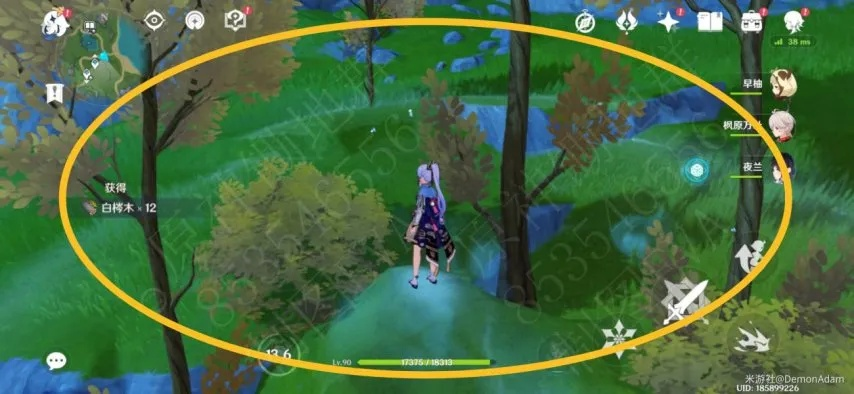 《原神》白梣木采集攻略:快速获取方法揭秘 《原神》白梣木采集攻略:快速获取方法揭秘