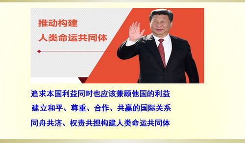 《泡姆泡姆》全流程攻略：高效通关秘籍大公开