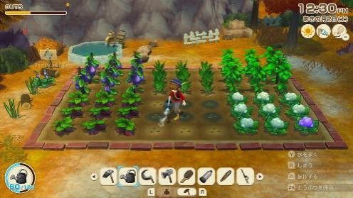 《风之繁华集市》精灵啦啦队召唤攻略：轻松解锁神秘召唤术