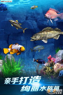 《心动小镇钓鱼攻略：揭秘高回报钓鱼点与珍稀鱼种》