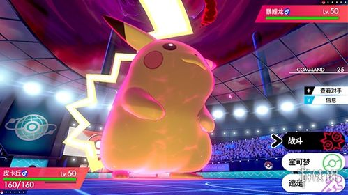 《伊布狂欢日!揭秘11月21日为何成为游戏玩家盛事》 《伊布狂欢日!揭秘11月21日为何成为游戏玩家盛事》