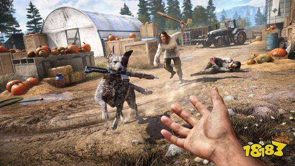 《孤岛惊魂5》萌宠养成攻略:解锁超可爱狗狗养成秘籍 《孤岛惊魂5》萌宠养成攻略:解锁超可爱狗狗养成秘籍